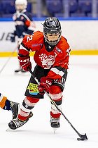 Klik for at se eller bestil foto