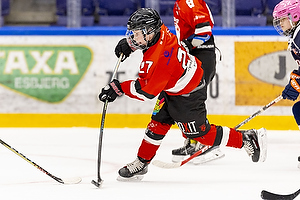 Klik for at se eller bestil foto