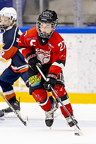 Klik for at se eller bestil foto