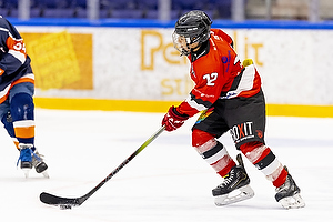 Klik for at se eller bestil foto