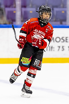 Klik for at se eller bestil foto