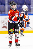 Klik for at se eller bestil foto