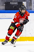 Klik for at se eller bestil foto