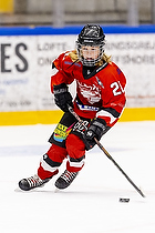 Klik for at se eller bestil foto