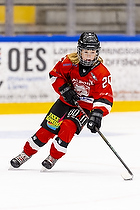 Klik for at se eller bestil foto