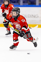 Klik for at se eller bestil foto