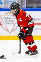 Klik for at se eller bestil foto