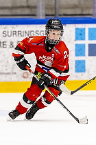 Klik for at se eller bestil foto