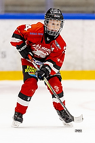 Klik for at se eller bestil foto