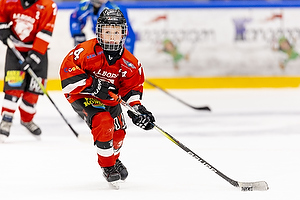 Klik for at se eller bestil foto