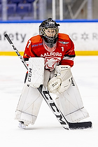 Klik for at se eller bestil foto