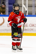 Klik for at se eller bestil foto