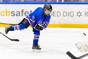 Klik for at se eller bestil foto