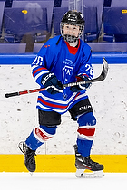 Klik for at se eller bestil foto