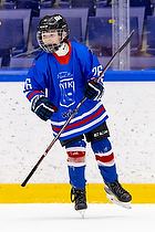 Klik for at se eller bestil foto