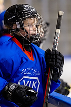 Klik for at se eller bestil foto