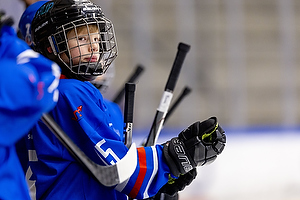 Klik for at se eller bestil foto