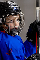 Klik for at se eller bestil foto