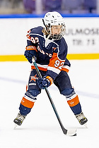 Klik for at se eller bestil foto