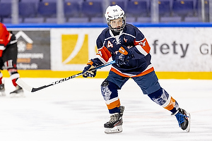 Klik for at se eller bestil foto