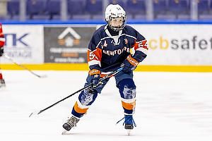 Klik for at se eller bestil foto