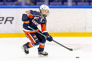 Klik for at se eller bestil foto