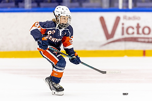 Klik for at se eller bestil foto