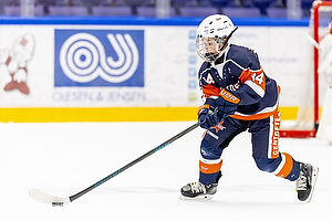 Klik for at se eller bestil foto