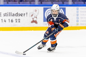 Klik for at se eller bestil foto