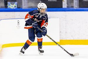 Klik for at se eller bestil foto