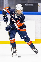 Klik for at se eller bestil foto