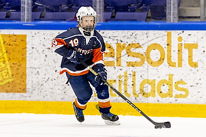 Klik for at se eller bestil foto