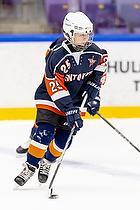 Klik for at se eller bestil foto