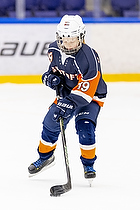 Klik for at se eller bestil foto