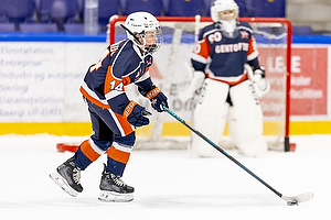 Klik for at se eller bestil foto