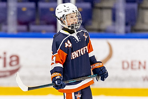 Klik for at se eller bestil foto