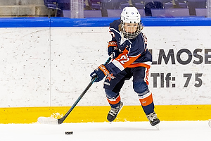 Klik for at se eller bestil foto