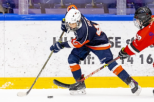 Klik for at se eller bestil foto