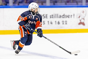 Klik for at se eller bestil foto