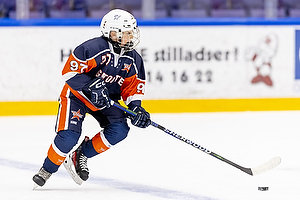 Klik for at se eller bestil foto