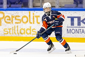 Klik for at se eller bestil foto