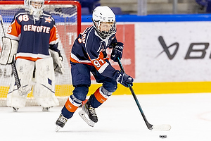 Klik for at se eller bestil foto