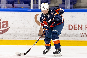 Klik for at se eller bestil foto