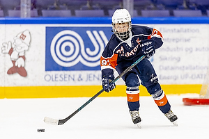 Klik for at se eller bestil foto