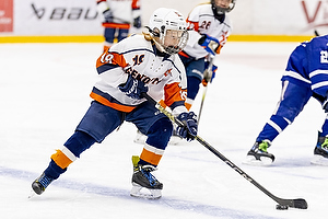 Klik for at se eller bestil foto