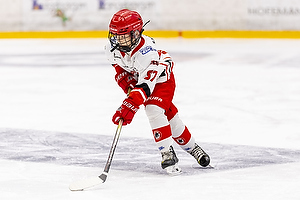 Klik for at se eller bestil foto