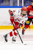 Klik for at se eller bestil foto