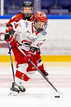 Klik for at se eller bestil foto