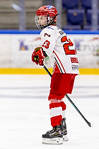 Klik for at se eller bestil foto