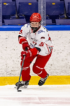 Klik for at se eller bestil foto